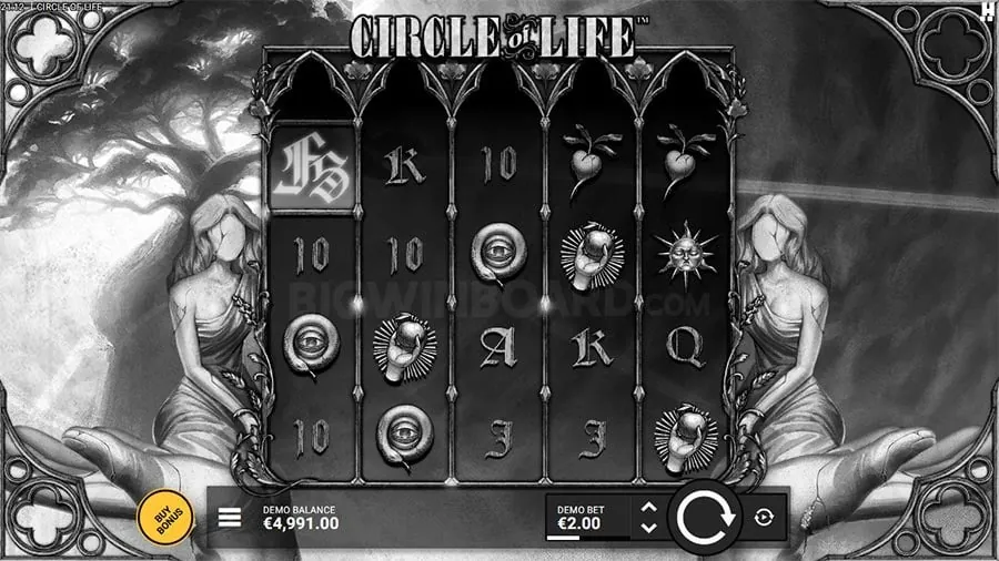 Variety of live dealer casino games